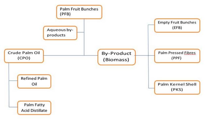 Palm oil processing