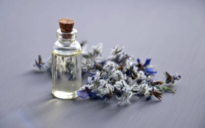 Borage Oil: All You Ought to Know About Borage Oil and Import Considerations.