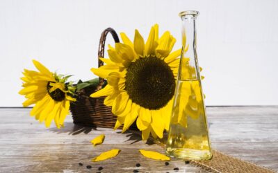 Sunflower Oil: General Overview, Market Insights, and Import Considerations.